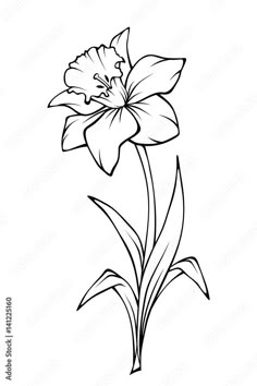 Out Line Flower Design, Narcissus Line Drawing, Line Drawing Daffodil, Narcissus Flower Embroidery, Daffodil Vector, Flower Drawing Inspiration, Daffodil Stencil, Daffodil Line Drawing