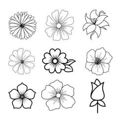 six different types of flowers in black and white