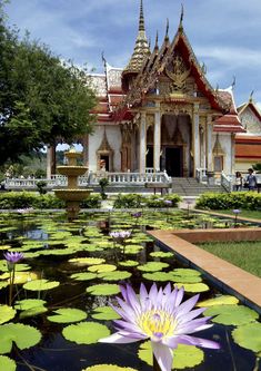 a large white building sitting next to a pond filled with water lilies