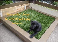 a black dog laying on top of a green grass covered floor next to a wooden box