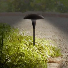 a black lamp sitting on the side of a road next to green plants and bushes