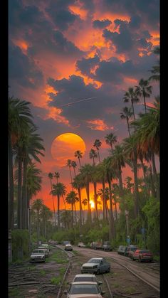 the sun is setting behind palm trees and cars parked on the side of the road