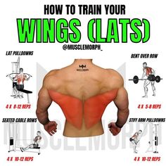 an image of how to train your wings with the text,'how to train your wings