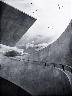 black and white photograph of birds flying in the sky above concrete structures with curved sides