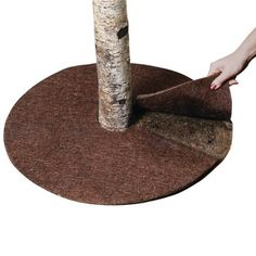 a person reaching for a tree on top of a round rug that is made out of wood