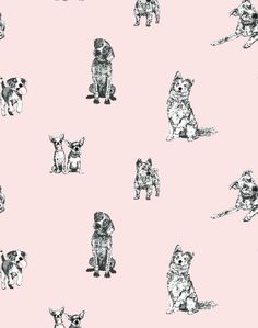 a pink background with black and white dogs sitting on top of each other in different positions