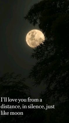 The Moon Is Beautiful Isn't It, The Moon Is Beautiful, The Moon, Phone Wallpaper, Love You, Moon, Quotes, Pins