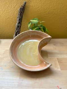 a white bowl sitting on top of a wooden table next to a green leafy plant