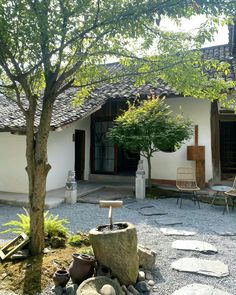 an outdoor area with rocks, trees and chairs