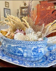 a blue and white bowl filled with seashells on top of a wooden table