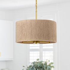 a chandelier hanging from a ceiling in a room with a potted plant