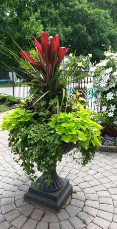 a potted plant with red flowers and green leaves in it on a brick patio