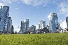 a grassy field with tall buildings in the background