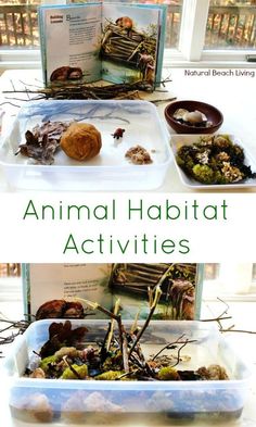 an animal habitat is shown in two separate trays, with the words animal habitats on them