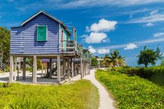 a small blue house on stilts next to the ocean with stairs leading up to it