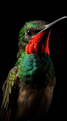 a colorful bird with its beak open and it's head turned to the side