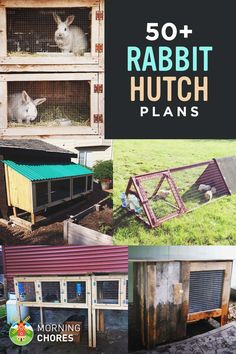 the cover of 50 + rabbit hutch plans with pictures of rabbits in their cages