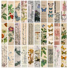 many different types of flowers and butterflies are shown in this collage from the 19th century