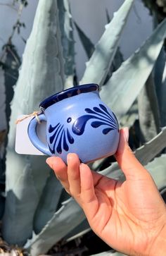 a hand holding a blue cup in front of a succulent plant