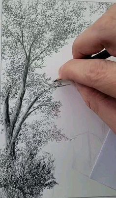 someone is drawing a tree with pencils