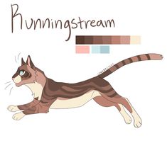 a cat is running with the words running stream in front of it's face