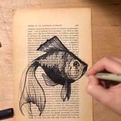 an open book with a drawing of a goldfish on it and a person's hand holding a pen