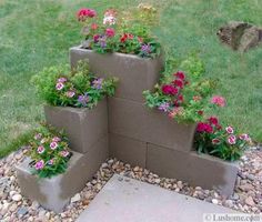 several cement blocks with flowers growing out of them