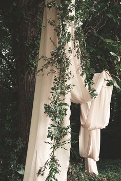 there is a white cloth draped over the top of a tree in front of some bushes