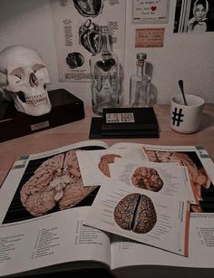 an open book sitting on top of a table next to a skull and other items