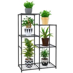 four tiered plant stand with potted plants on each shelf and one green plant in the middle