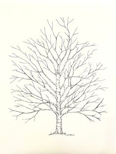 a drawing of a tree with no leaves