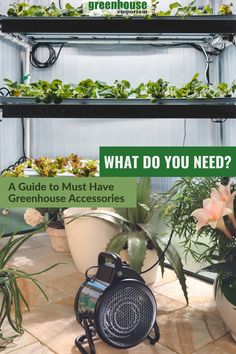 a green house with plants in it and the words what do you need?