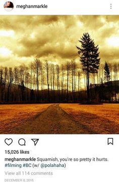 an image of a dirt road in the middle of nowhere with trees on either side