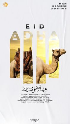 the front cover of a magazine with an image of a camel