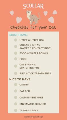 an image of a list for cats