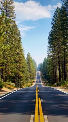 an empty road surrounded by trees and blue sky