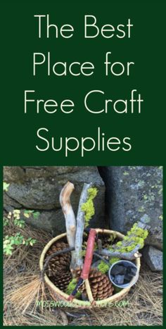 the best place for free craft supplies is in front of some rocks and pine cones