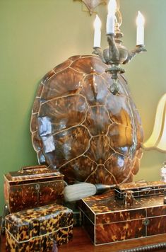 a tortoise shell is sitting on top of some boxes with candles in it