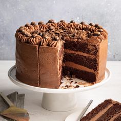 a chocolate cake with one slice cut out and the rest half eaten on a plate