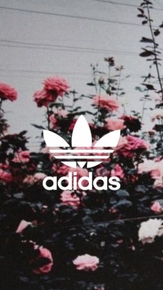 the adidas logo is surrounded by pink flowers