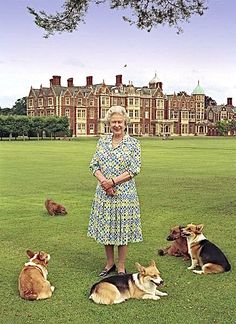 an older woman standing in the grass with four dogs and two puppies laying on the ground