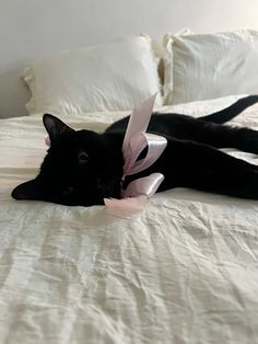 a black cat laying on top of a bed with a pink ribbon around it's neck