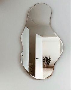 a mirror that is on the wall in front of a potted plant and door