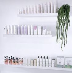 the shelves are filled with different types of skin care products