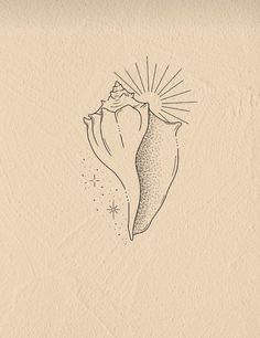 a black and white drawing of a sea shell with the sun shining down on it