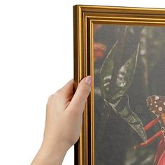 a person holding up a framed photograph with a butterfly on it's back side