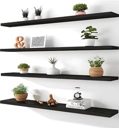 three black floating shelves with plants and other decorative items on them, along with bookshelves