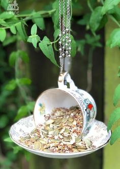 a teacup hanging from a tree filled with seeds and leaves is being held by a chain