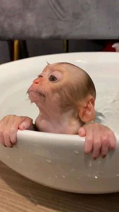 a baby in a bathtub with its head sticking out