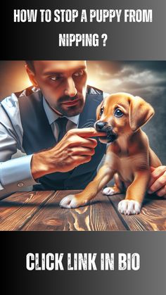 a man is petting a puppy on the nose with caption saying how to stop a puppy from nipping? click link in bio